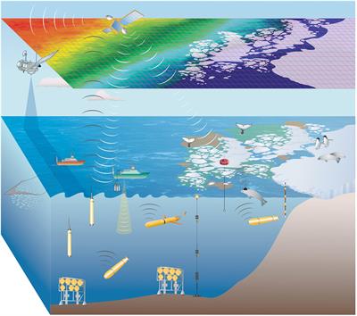 Delivering Sustained, Coordinated, and Integrated Observations of the Southern Ocean for Global Impact